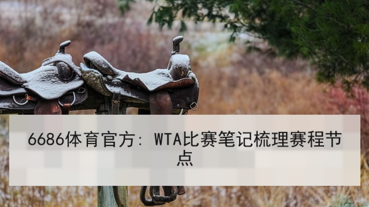6686体育官方: WTA比赛笔记梳理赛程节点
