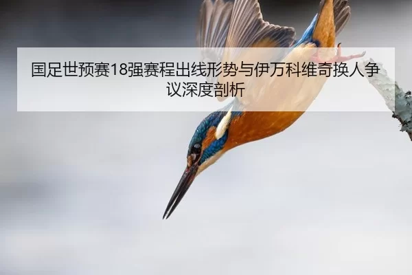 国足世预赛18强赛程出线形势与伊万科维奇换人争议深度剖析 - 6686.com