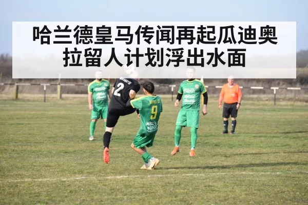 哈兰德皇马传闻再起瓜迪奥拉留人计划浮出水面